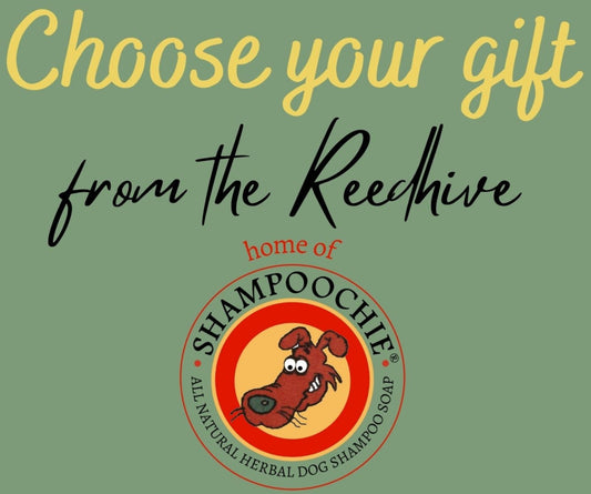 From the Reedhive, Home of Shampoochie® Gift Card